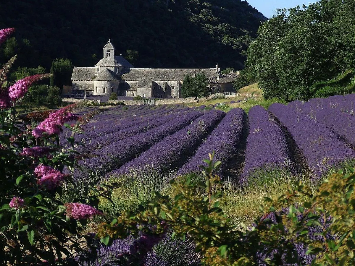 Bed and Breakfast Les Cerises Saint-Saturnin-d'Apt